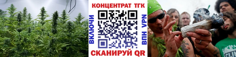 Купить где  Зеленогорск  ТГК гашишное масло 